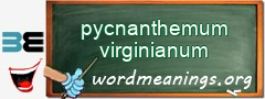 WordMeaning blackboard for pycnanthemum virginianum